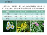 1.3  影响种群数量变化的因素 课件 高中生物新人教版择性必修第二册