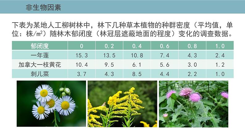 1.3  影响种群数量变化的因素 课件 高中生物新人教版择性必修第二册05