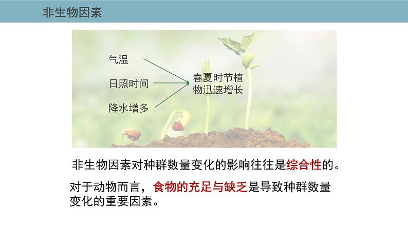 1.3  影响种群数量变化的因素 课件 高中生物新人教版择性必修第二册08