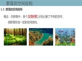 2.1  群落的结构（第二课时） 课件 高中生物新人教版择性必修第二册