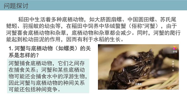 2.1  群落的结构（第一课时） 课件 高中生物新人教版择性必修第二册第3页