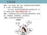 3.3  生态系统的物质循环（第二课时） 课件 高中生物新人教版择性必修第二册