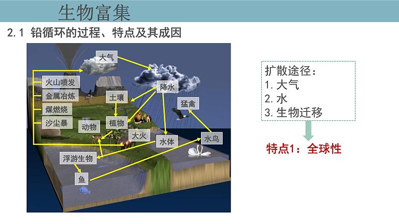 3.3  生态系统的物质循环（第二课时） 课件 高中生物新人教版择性必修第二册第6页