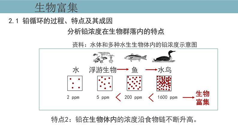 3.3  生态系统的物质循环（第二课时） 课件 高中生物新人教版择性必修第二册第7页