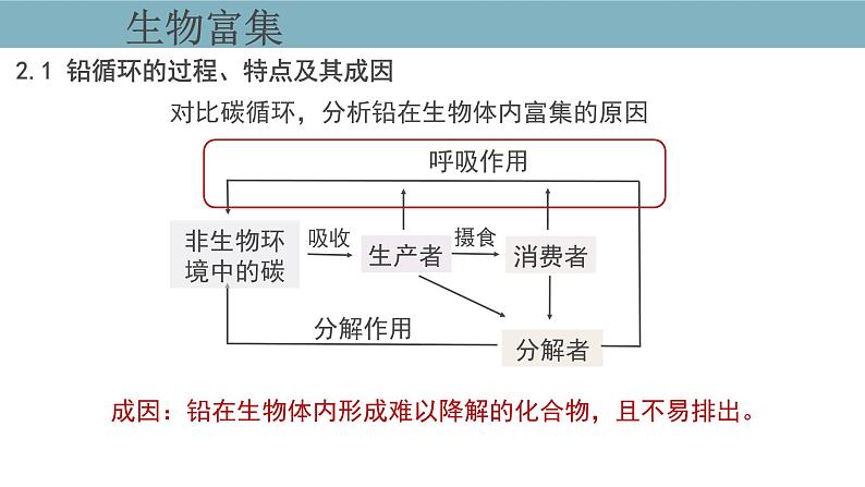 3.3  生态系统的物质循环（第二课时） 课件 高中生物新人教版择性必修第二册第8页