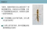 4.2  生物多样性及其保护 课件 高中生物新人教版择性必修第二册