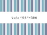 4.2  生物多样性及其保护 课件 高中生物新人教版择性必修第二册