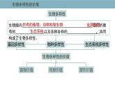 4.2  生物多样性及其保护 课件 高中生物新人教版择性必修第二册
