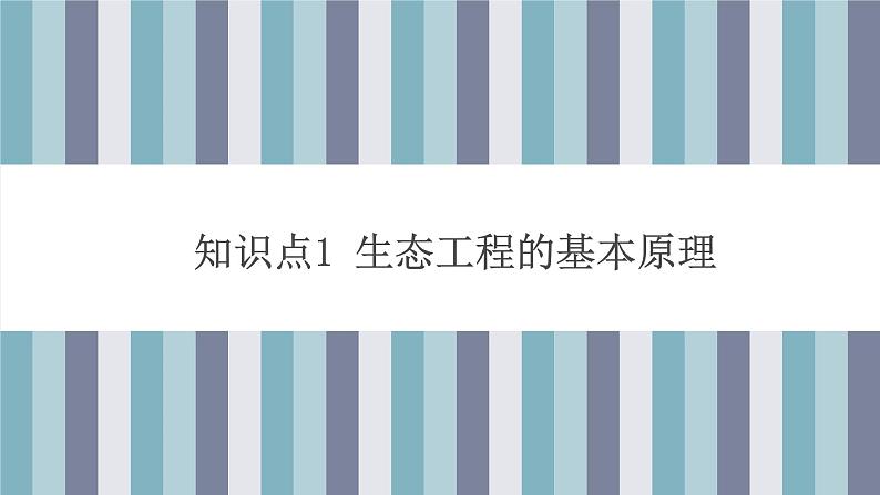 4.3  生态工程（第一课时） 课件 高中生物新人教版择性必修第二册06