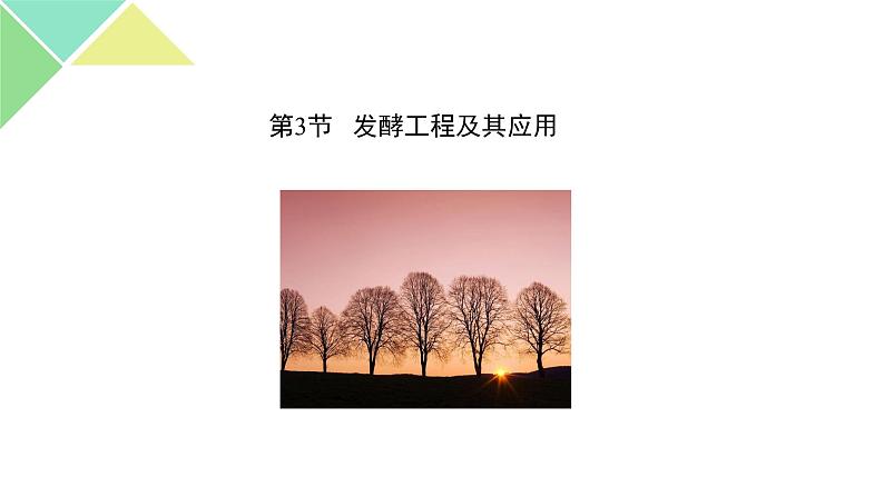 1.3  发酵工程及其应用 课件 高中生物新人教版选择性必修303