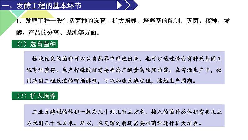 1.3  发酵工程及其应用 课件 高中生物新人教版选择性必修304