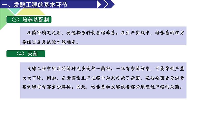 1.3  发酵工程及其应用 课件 高中生物新人教版选择性必修305