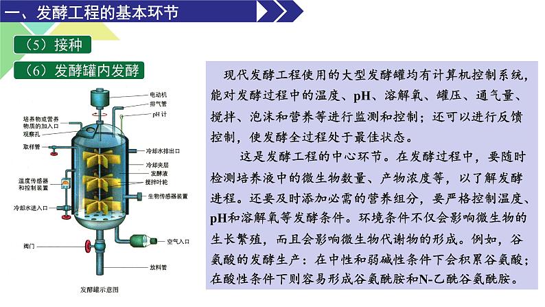 1.3  发酵工程及其应用 课件 高中生物新人教版选择性必修306