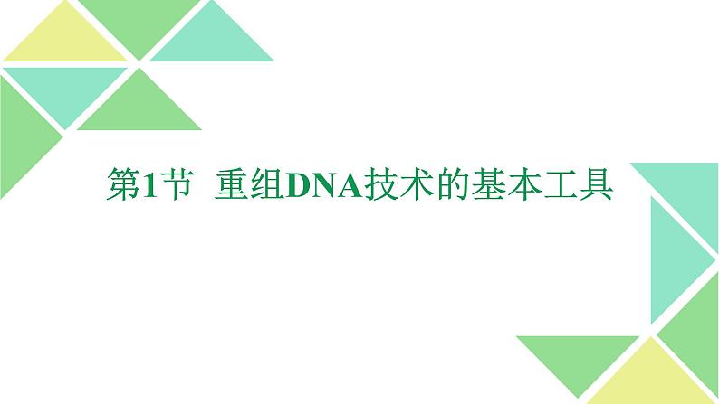 3.1  重组DNA技术的基本工具 课件 高中生物新人教版选择性必修301