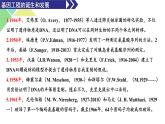 3.1  重组DNA技术的基本工具 课件 高中生物新人教版选择性必修3
