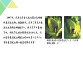 3.2  基因工程的基本操作程序 课件 高中生物新人教版选择性必修3