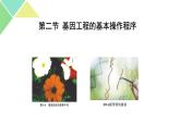 3.2  基因工程的基本操作程序 课件 高中生物新人教版选择性必修3