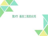 3.3  基因工程的应用 课件 高中生物新人教版选择性必修3