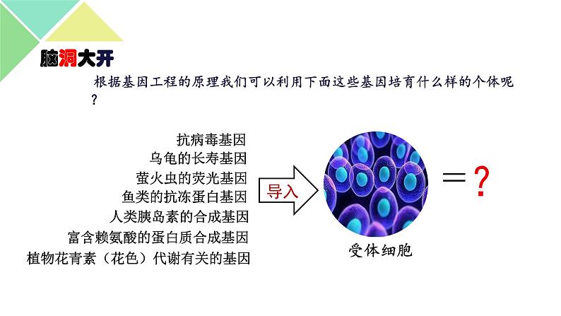 3.3  基因工程的应用 课件 高中生物新人教版选择性必修304