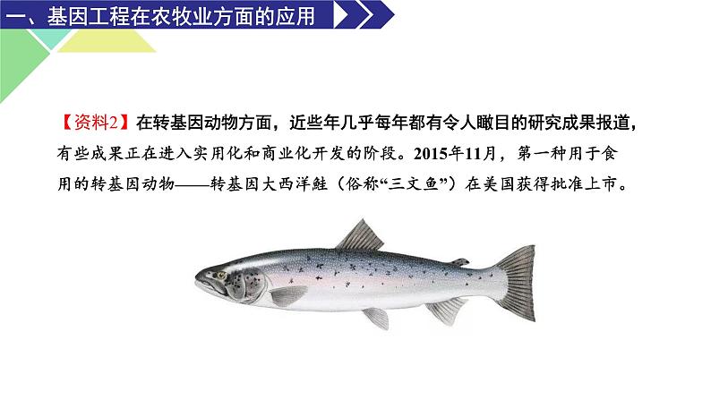 3.3  基因工程的应用 课件 高中生物新人教版选择性必修307