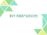 4.1  转基因产品的安全性 课件 高中生物新人教版选择性必修3