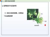 1.2 分离定律 课件 高中生物新苏教版必修2