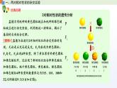 1.3 自由组合定律 课件 高中生物新苏教版必修2