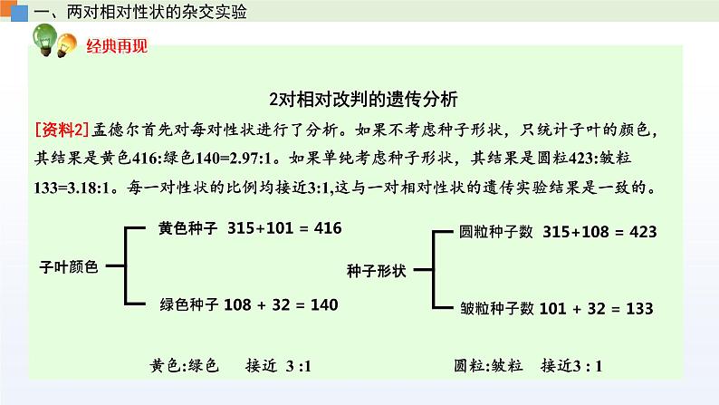 1.3 自由组合定律 课件 高中生物新苏教版必修204