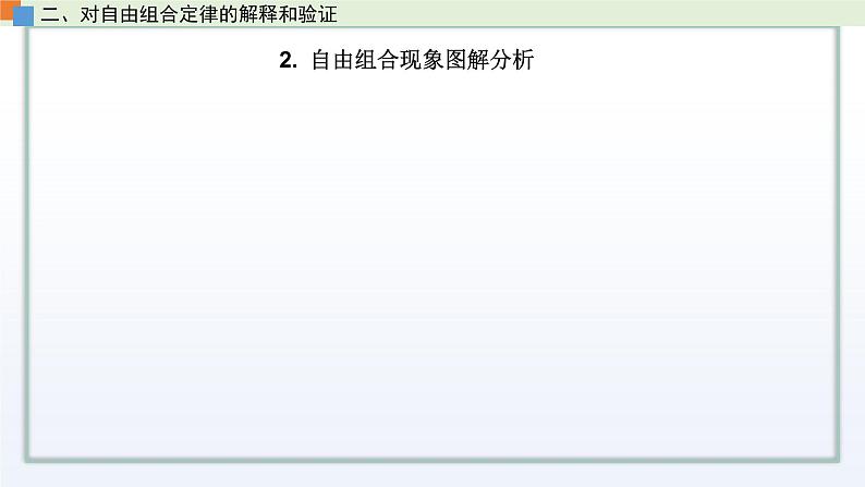 1.3 自由组合定律 课件 高中生物新苏教版必修207