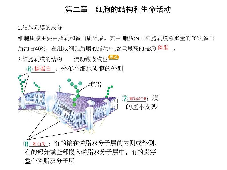 第二章 第二节 细胞——生命活动的基本单位 课件（48张）-高中生物新苏教版（2019）必修104