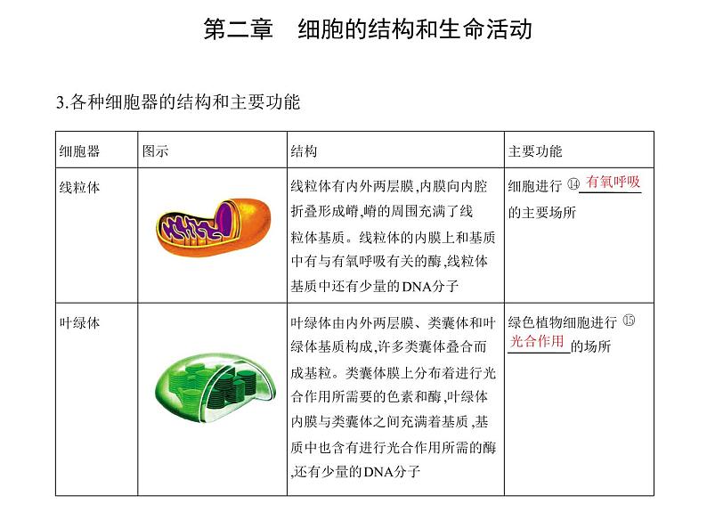 第二章 第二节 细胞——生命活动的基本单位 课件（48张）-高中生物新苏教版（2019）必修108