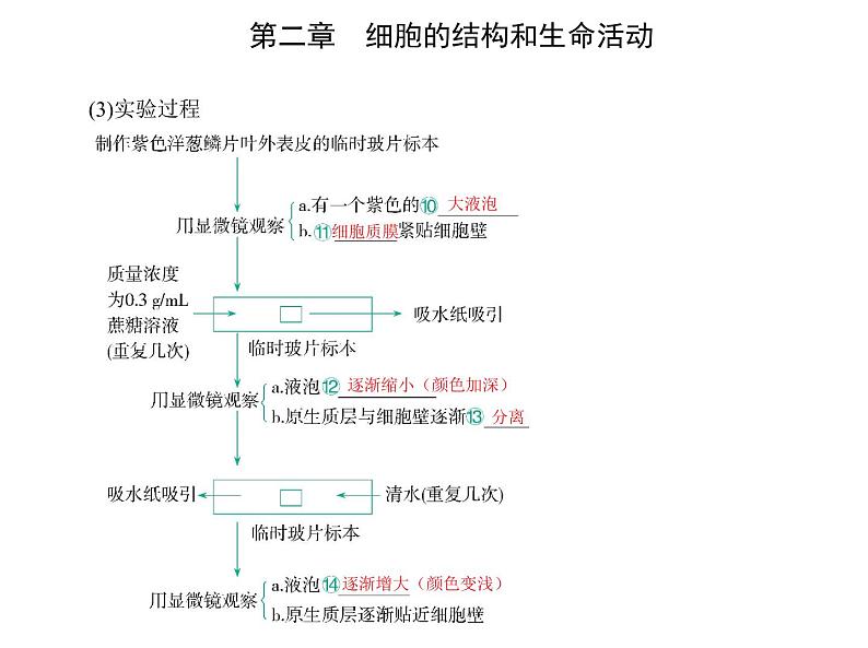 第二章 第三节 物质进出细胞的运输方式 课件（37张）-高中生物新苏教版（2019）必修105