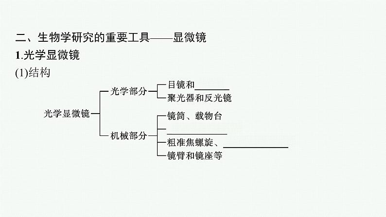 高中生物新苏教版必修1 第二章 第一节 细胞学说——现代生物学的“基石” 课件（38张）06