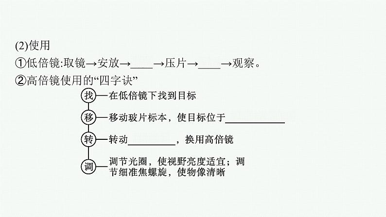 高中生物新苏教版必修1 第二章 第一节 细胞学说——现代生物学的“基石” 课件（38张）07