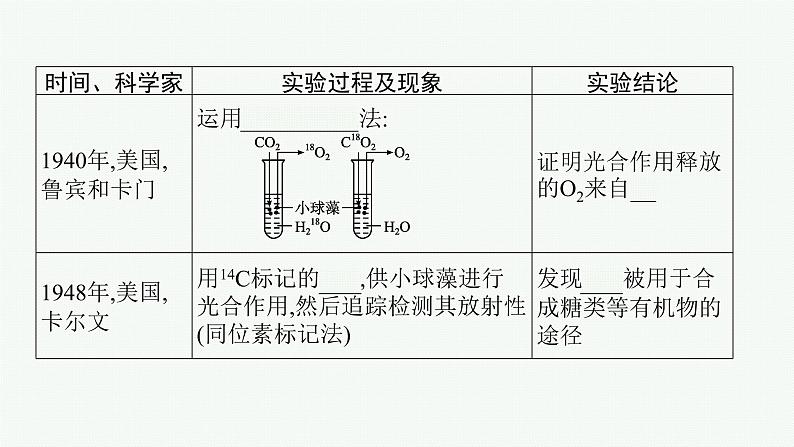 高中生物新苏教版必修1 第三章 第二节 光合作用——光能的捕获和转换 课件（76张）第7页