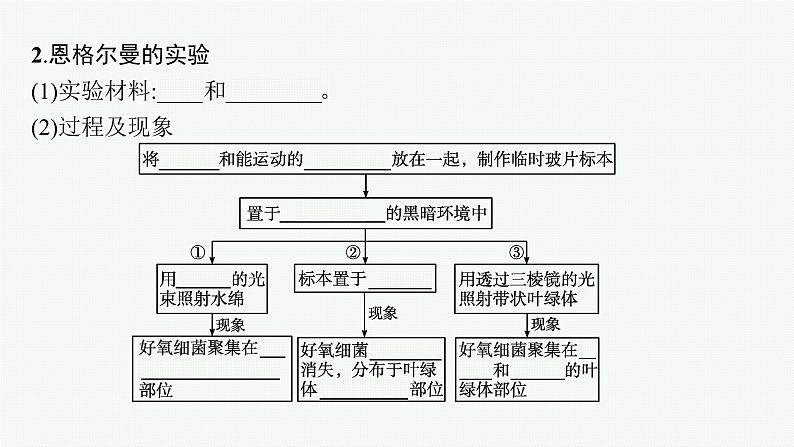 高中生物新苏教版必修1 第三章 第二节 光合作用——光能的捕获和转换 课件（76张）第8页