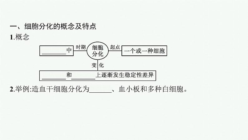 高中生物新苏教版必修1 第四章 第二节 细胞分化、衰老和死亡 课件（60张）05