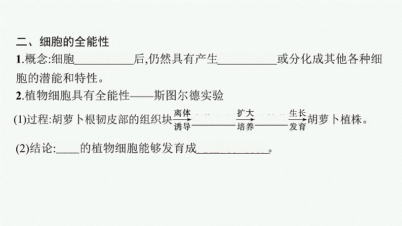 高中生物新苏教版必修1 第四章 第二节 细胞分化、衰老和死亡 课件（60张）07