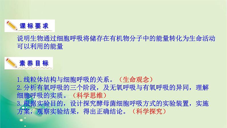 高中生物新苏教版必修第一册  3.3 细胞呼吸——能量的转化和利用 课件（59张）04