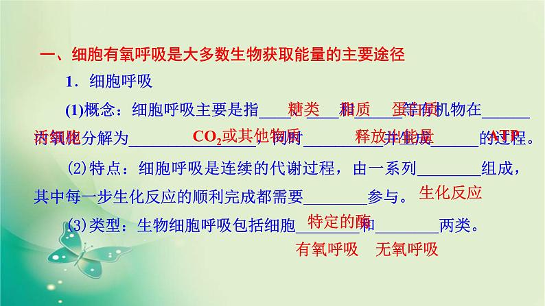 高中生物新苏教版必修第一册  3.3 细胞呼吸——能量的转化和利用 课件（59张）06