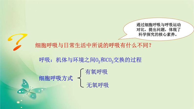 高中生物新苏教版必修第一册  3.3 细胞呼吸——能量的转化和利用 课件（59张）07