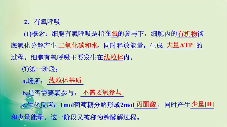 高中生物新苏教版必修第一册  3.3 细胞呼吸——能量的转化和利用 课件（59张）08