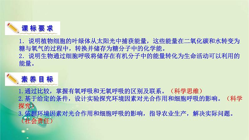 高中生物新苏教版必修第一册  3.4 影响光合作用和细胞呼吸的环境因素 课件（61张）04