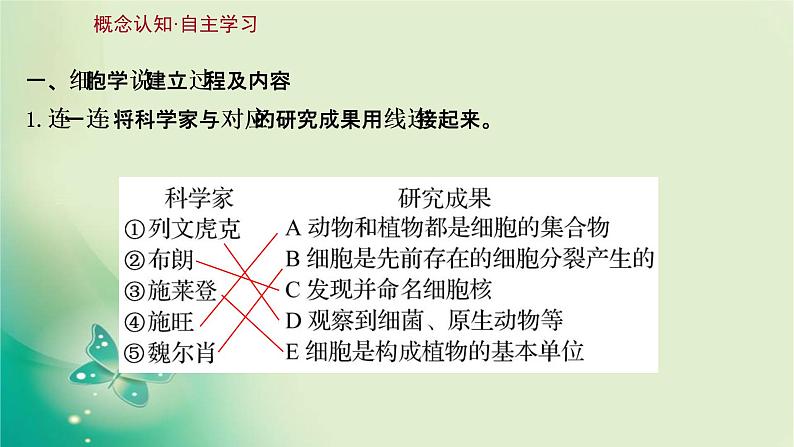 高中生物新苏教版必修第一册  第二章 第一节 细胞学说——现代生物学的“基石” 课件（63张）03