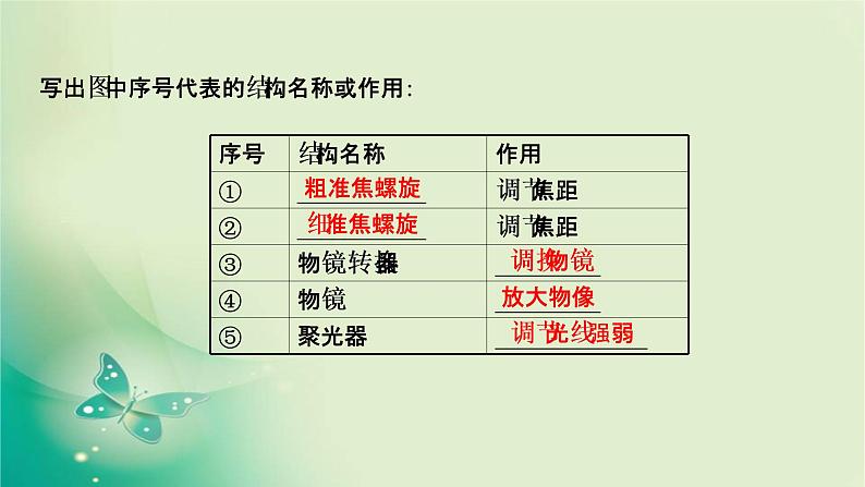 高中生物新苏教版必修第一册  第二章 第一节 细胞学说——现代生物学的“基石” 课件（63张）06