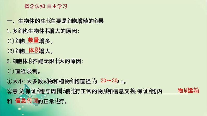 高中生物新苏教版必修第一册  第四章 第一节 细胞增殖 课件（87张）第3页