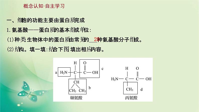 高中生物新苏教版必修第一册  第一章 第三节 细胞中的蛋白质和核酸 课件（87张）03