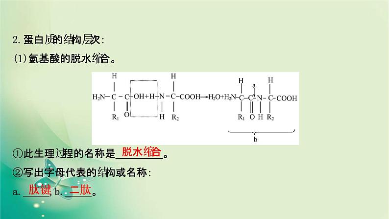 高中生物新苏教版必修第一册  第一章 第三节 细胞中的蛋白质和核酸 课件（87张）07