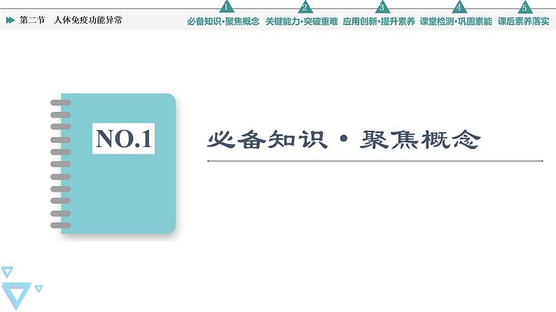 选择性必修1 人体免疫功能异常（50张）  课件-高中生物新苏教版（2019）选择性必修103