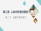 选择性必修1 血糖平衡的调节（45张）  课件-高中生物新苏教版（2019）选择性必修1